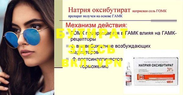 сатива Ельня