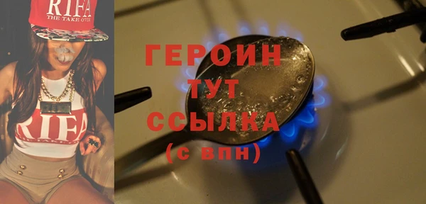 сатива Ельня