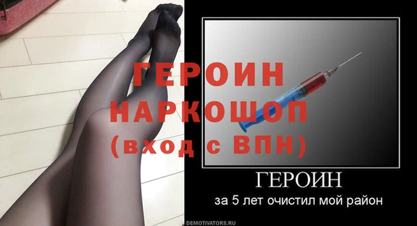 сатива Ельня
