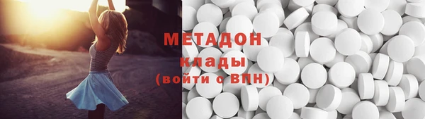 сатива Ельня