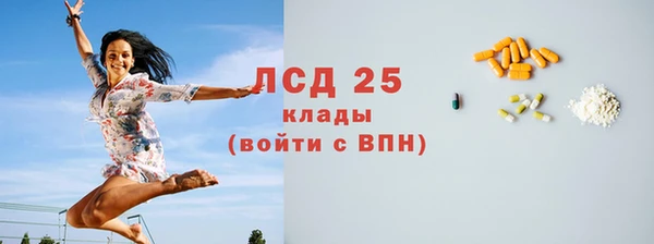сатива Ельня