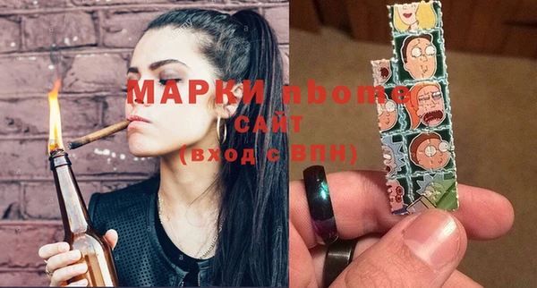 сатива Ельня