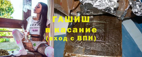 сатива Ельня