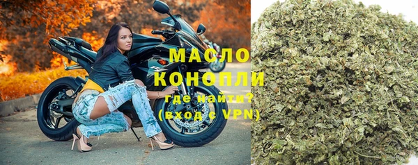 сатива Ельня