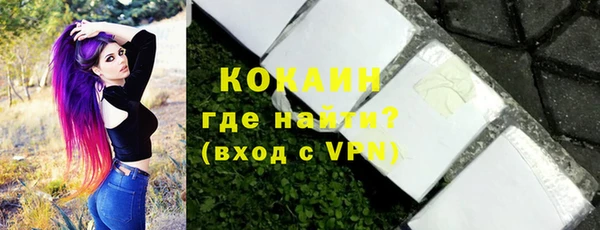 сатива Ельня