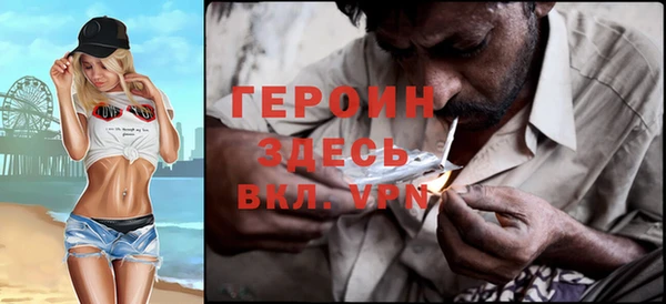 сатива Ельня