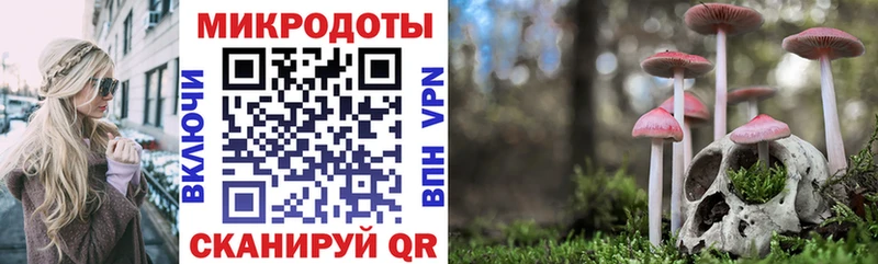 закладки  Новый Уренгой  Галлюциногенные грибы GOLDEN TEACHER 