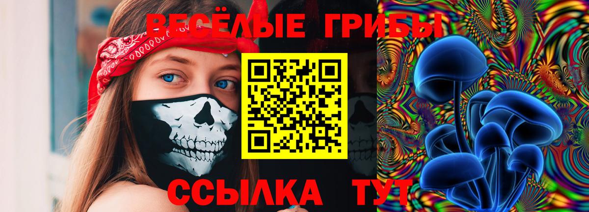 Новый Уренгой  Галлюциногенные грибы Cubensis  где найти наркотики  Псилоцибиновые грибы ЛСД  Вход с VPN 