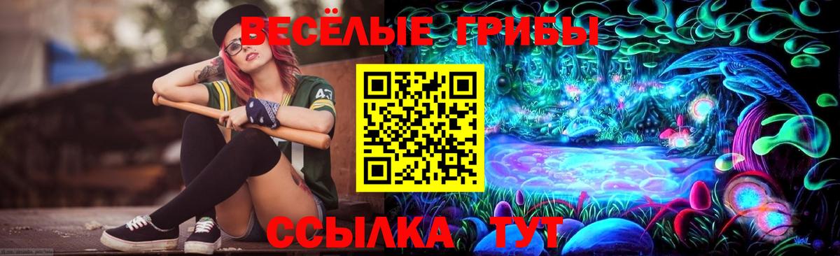 Псилоцибиновые грибы мицелий Новый Уренгой