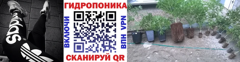 блэк спрут рабочий сайт  как найти закладки  Новый Уренгой  Каннабис конопля 